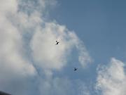Horizon_Airmeet_2013_Set_2 062